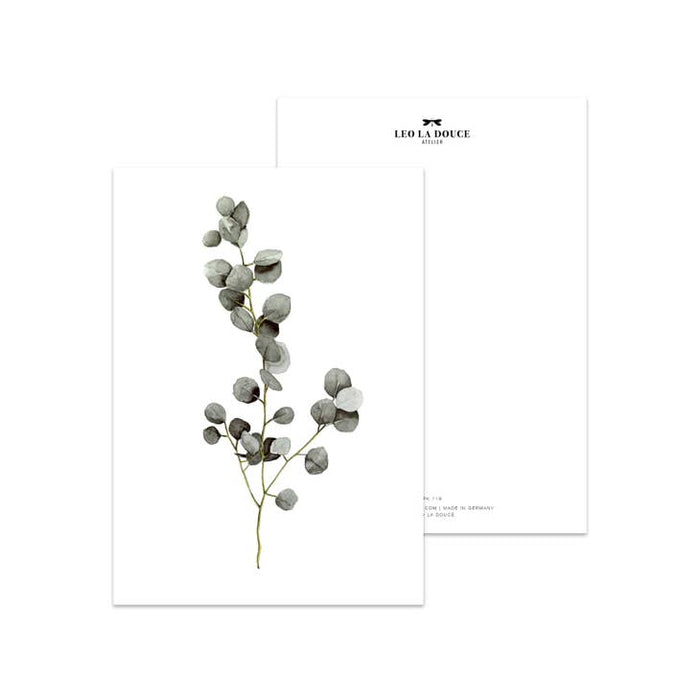 Postkarte Eukalyptus | Ein Umschlag