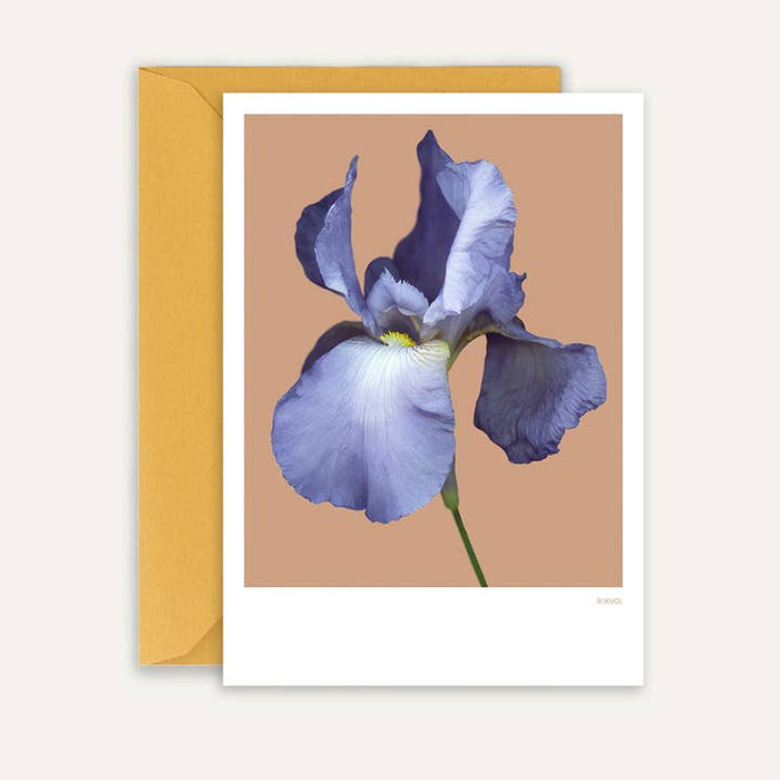 Carte Barbe Iris 01 | Beige