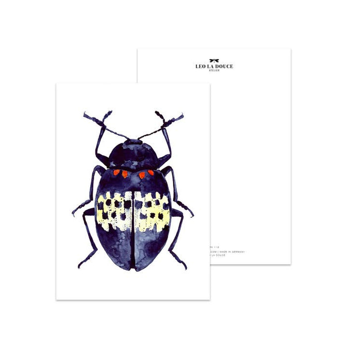 Karte blauer Käfer
