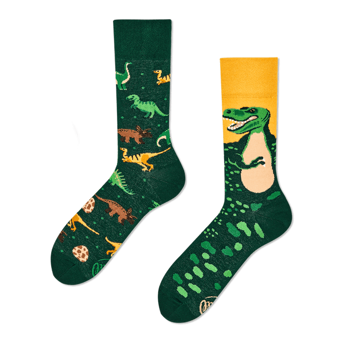 De nombreuses chaussettes de matins | Les dinosaures