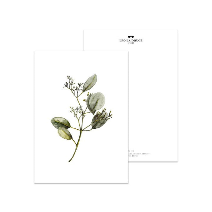 Carte Eucalyptus avec des fleurs